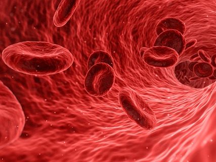 blood cells
