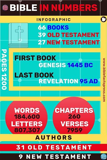 Bible in numbers small 512 50