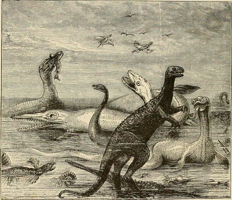 Dinosaurs in the Bible