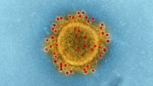 Virus image - Where was the virus mentioned in the Bible?