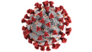 Is the coronavirus mentioned in the Bible?